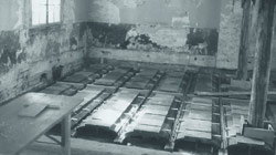 Zh004 in 25. Geburtstag Zunfthäusle